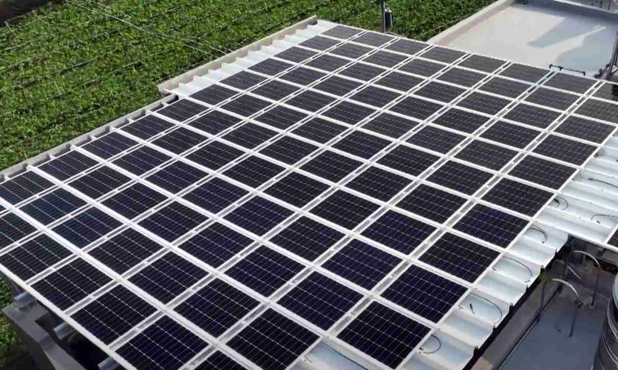 糖果派对SunSteel光电浪板升级双玻结构，，以提升机械负载强度及气候耐候度，，可广泛运用于多元场域