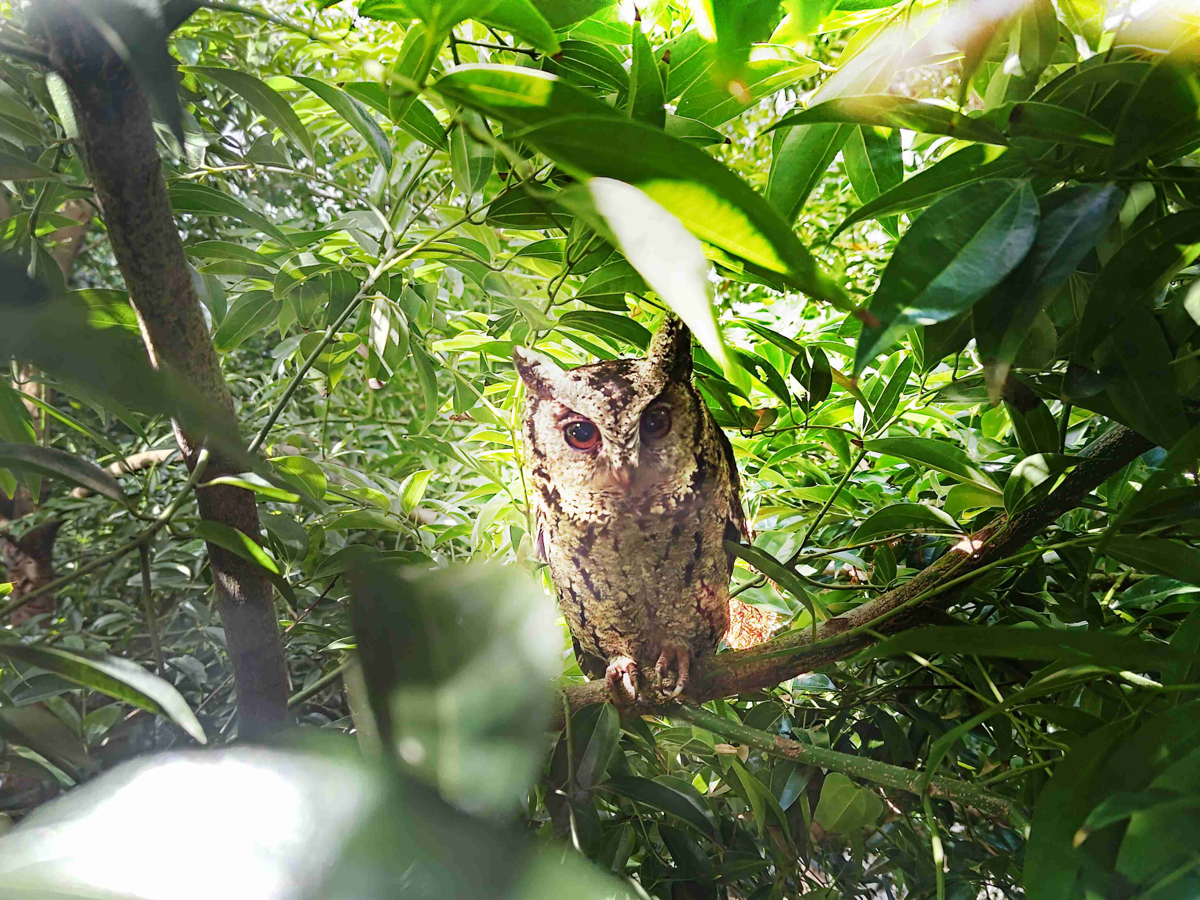 糖果派对致力提倡净零绿生活，，，16年以来在全球各厂区植树逾百万棵，，，，造就各厂区树木蔚然成林，，，犹如森林工厂，，成为许多生物的栖息地